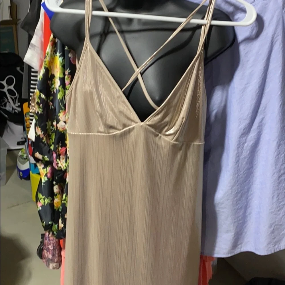 Champagne Bebe Slip Dress